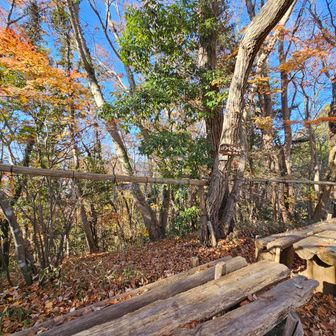 [6座目]金毘羅山（こんぴらやま）