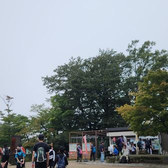 日曜の割には少なめ