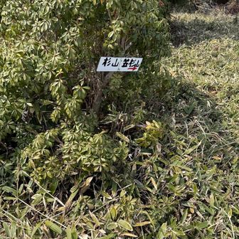 また地獄の登り返し