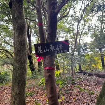 基山東嶺　とうちゃーく( ´∀｀)
通過点