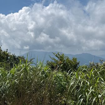 小松山と 柳岳かなぁ？  小松山も まぁまぁキツイよ  山頂は展望有りませんが 中間付近は眺めは良いですね ここはシートが椅子が入りますね 休憩は 雑草が多い
