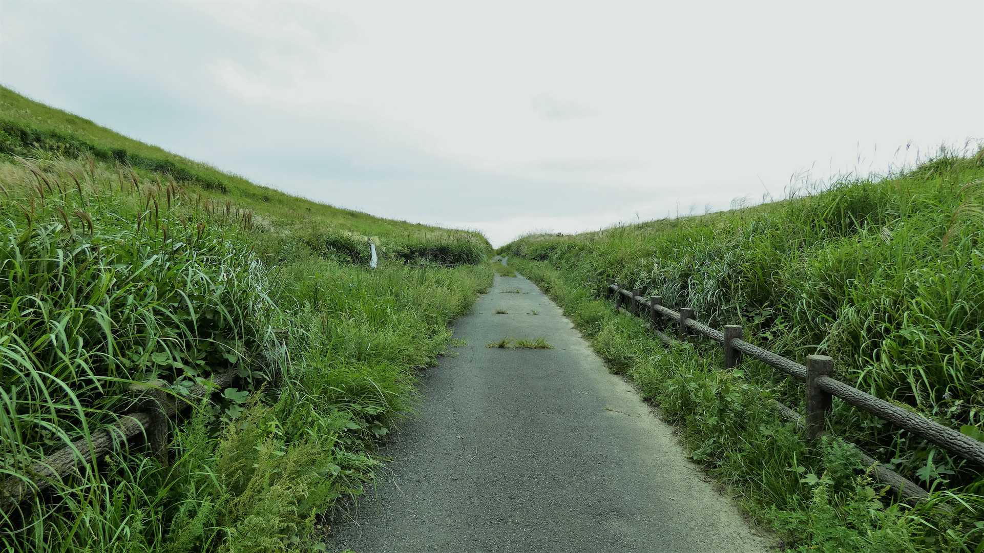 中峠から広谷へ続く道