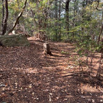 この先、また行ってみる☺︎