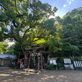 神社はやはり気持ちいい場所です