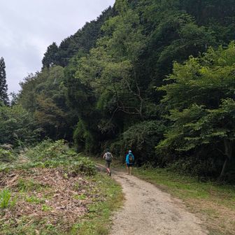 ☕走れる?
🦍　う、うん…
(||ﾟДﾟ)ﾋｨｨｨ!
息切れはないけど筋肉疲労の方がキツイｗ