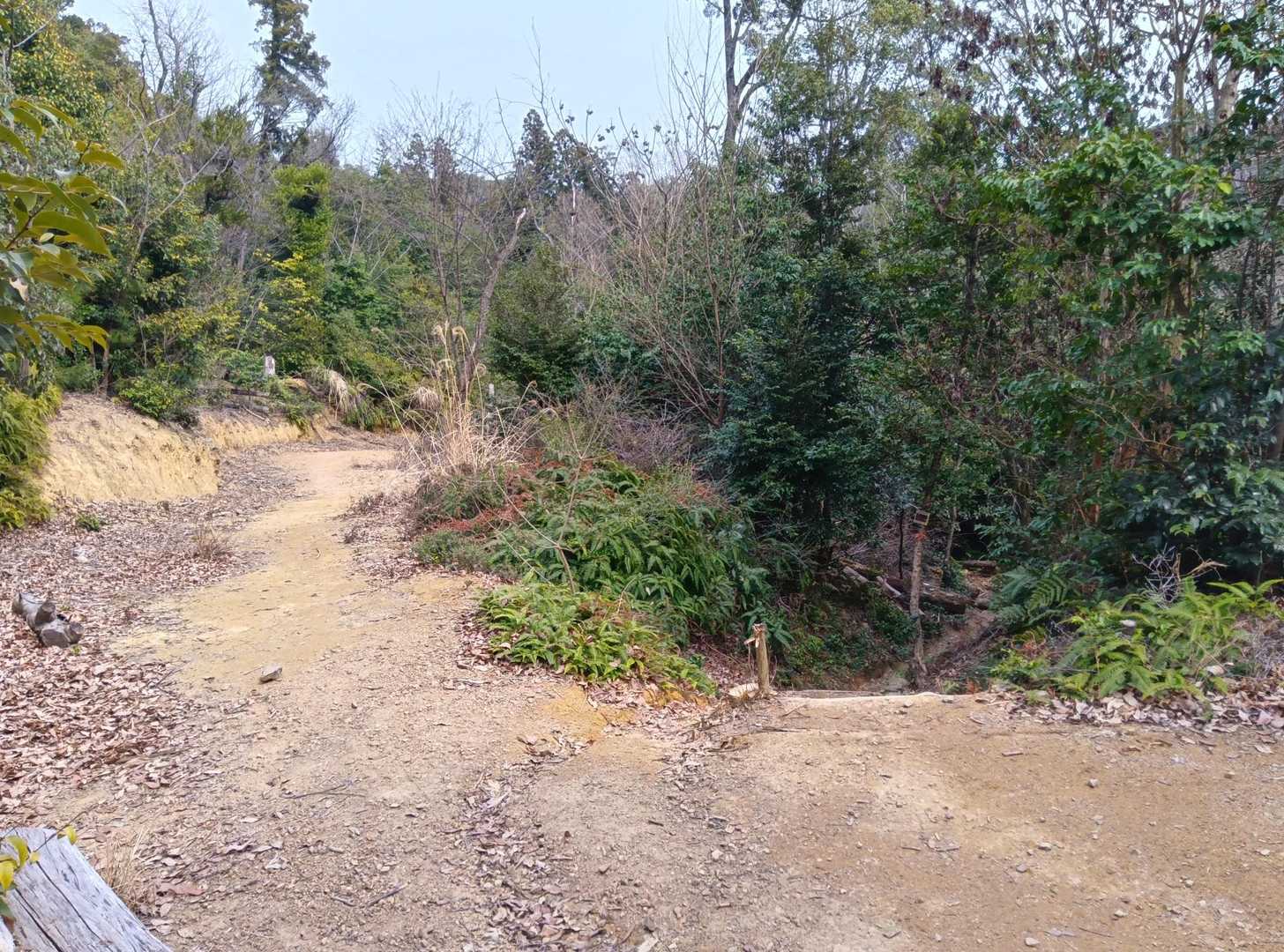 YAMAP確認‼️
画像、右の所を下りて行きます。