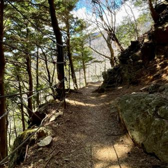気持ちの良い季節になりました✨