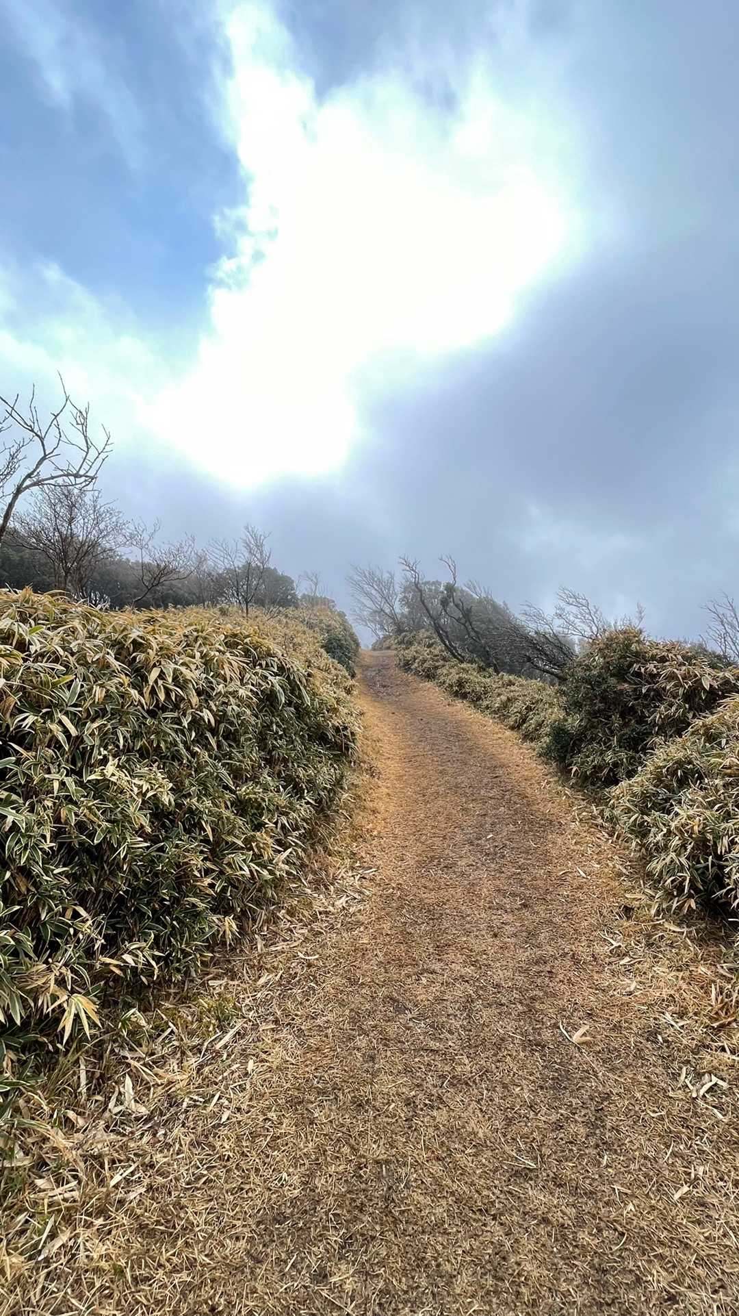 お天気良かったら気持ちがよさそう