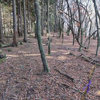 頂上の平坦部分につきました！👍