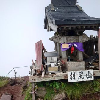 しんしん