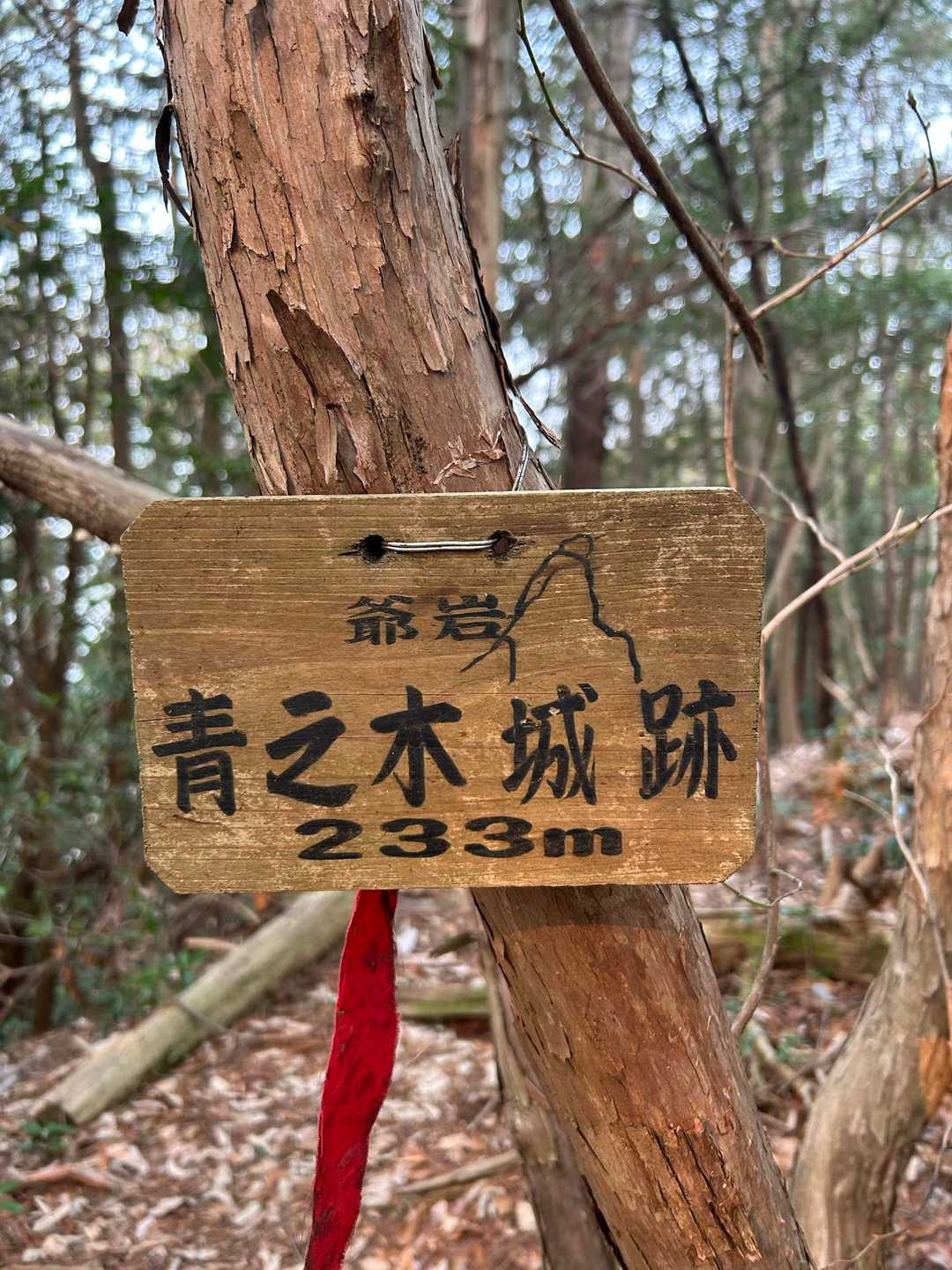 青之木城跡
爺岩がここにあるらしいけれど、周りを見てもよくわからず