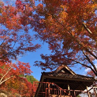 風の吹くままに