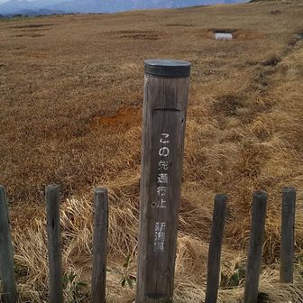 みりんちゃん。