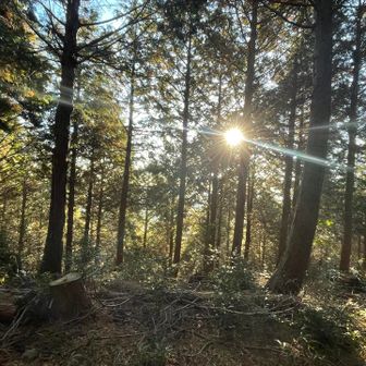 展望箇所は少ないです