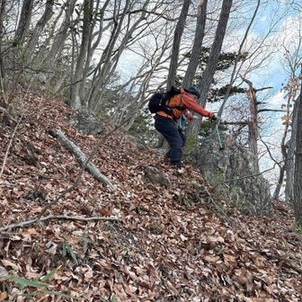 今にも転んで落ちて来そうだ💦