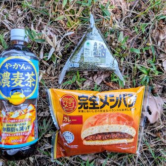 ここでランチ😋