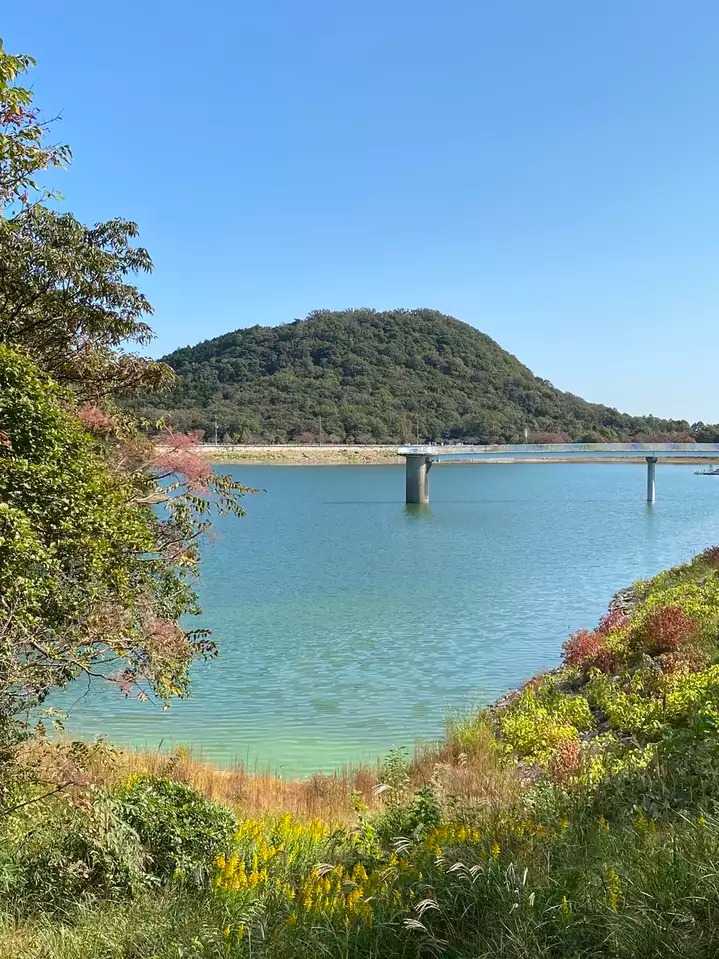 観音山の写真