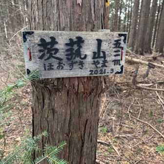 茨菰山。
普通は茨菰は「くわい」と読むらしい。
「ほおずき」は鬼灯だし。