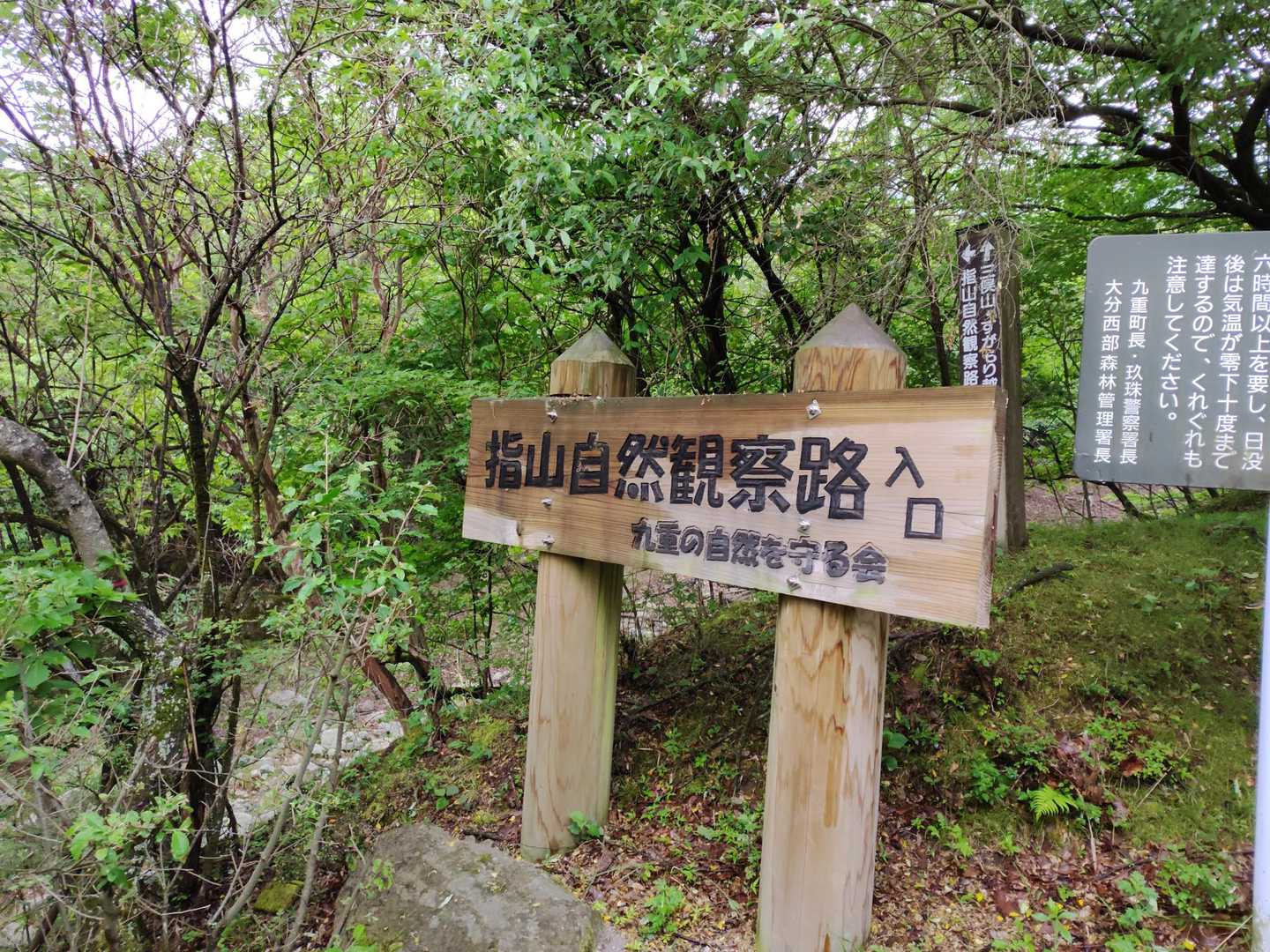 くじゅう登山口-くじゅう登山口バス停-指山自然観察路分岐登 往復コースの写真