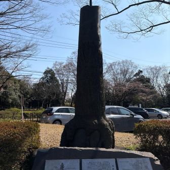 ステキなオブジェ