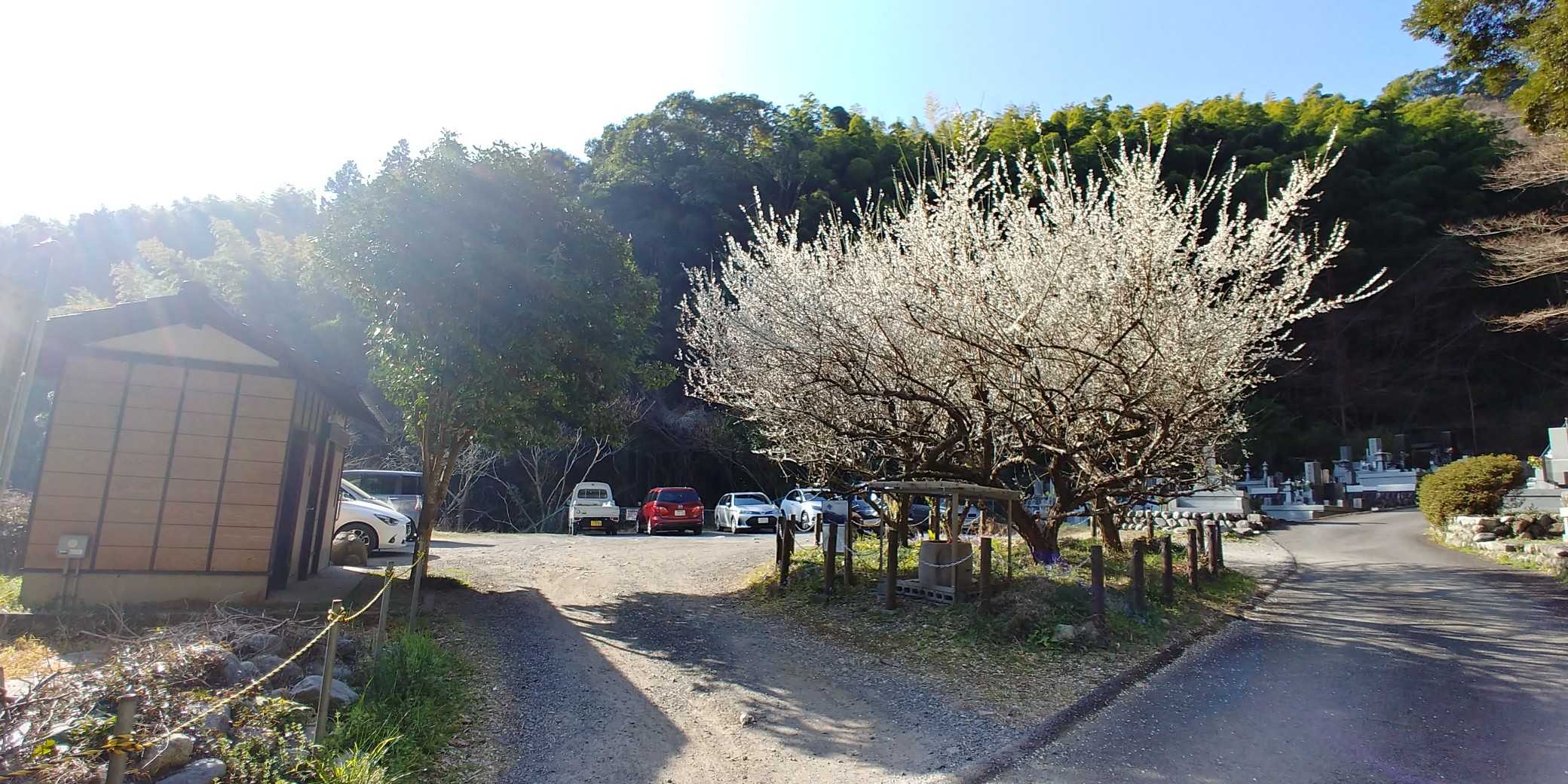 帆掛山-梶原山 往復コースの写真