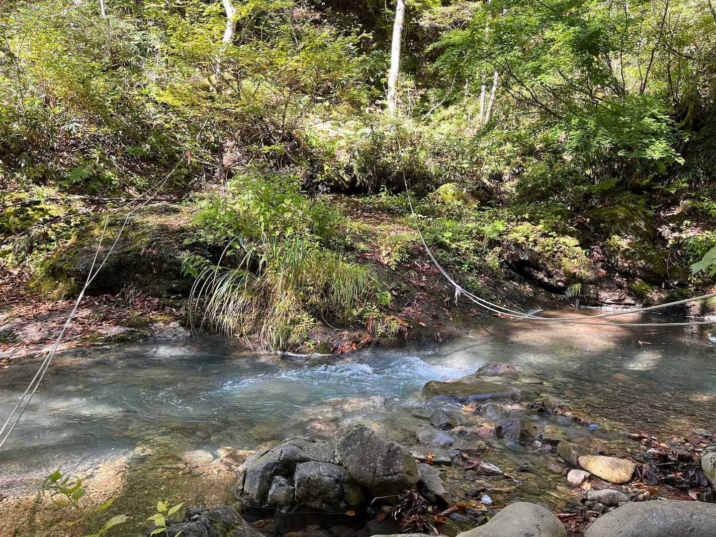 帰りは上流側→で
水量多いと飛石に使う石も隠れるとか