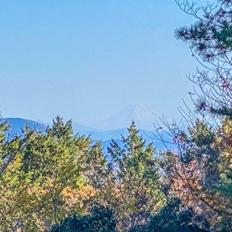 微かに見えた🗻