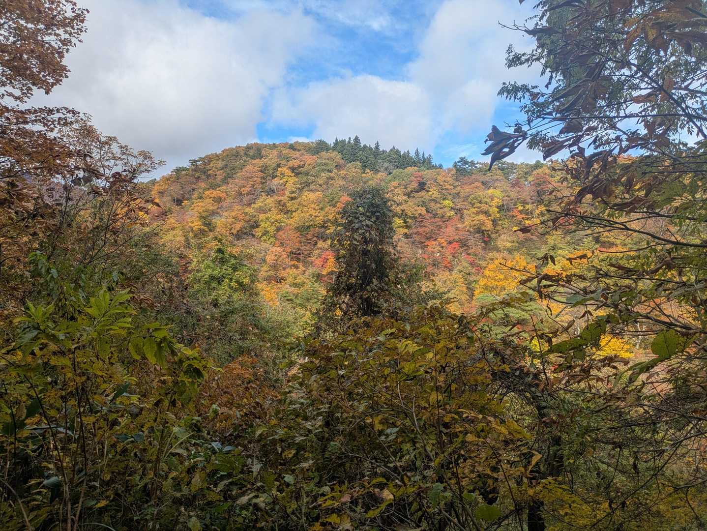【鳴子峡】深さ100mの大峡谷が織りなす絶景｜宮城・大崎の写真