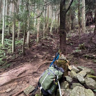 源流との分岐地点⭐️
今日は、急登を登ってみました‼️

苦手な急登はずっと避けてたルート😅
誰もいないので、お気に入りの曲🎧聴きながら登ったら、あっという間に尾根に出ました

尾根は、風が通って、さらに少し登るけど
霧氷の季節は素晴らしいんだよね❄️
日々、過ぎていくのが早すぎて
時間に取り残されてる気がしますが😓