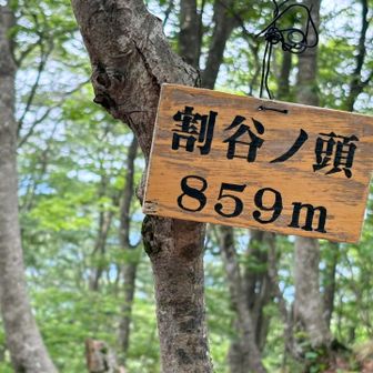🔺割谷ノ頭