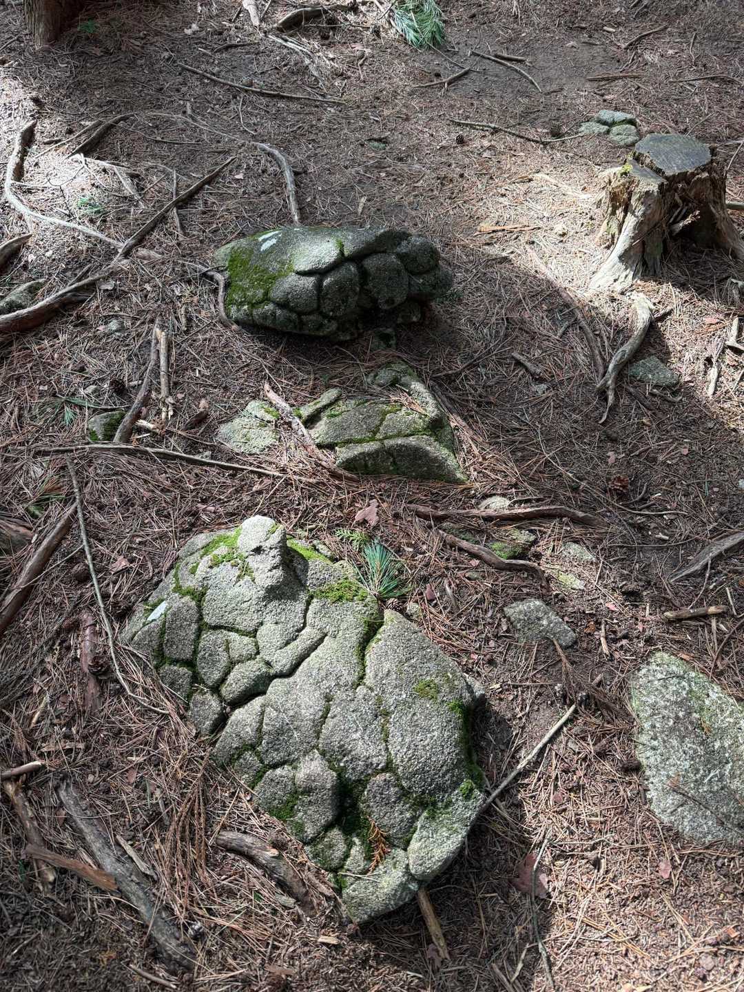 亀の甲岩🪨