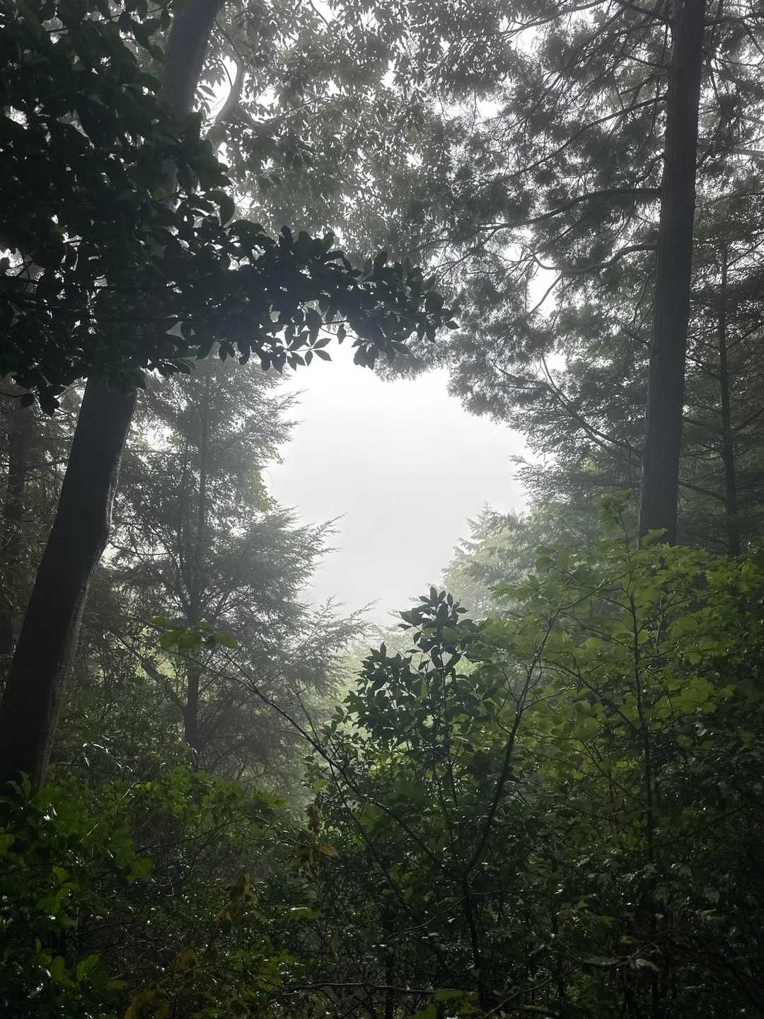 眺望は無し
真っ白🫥