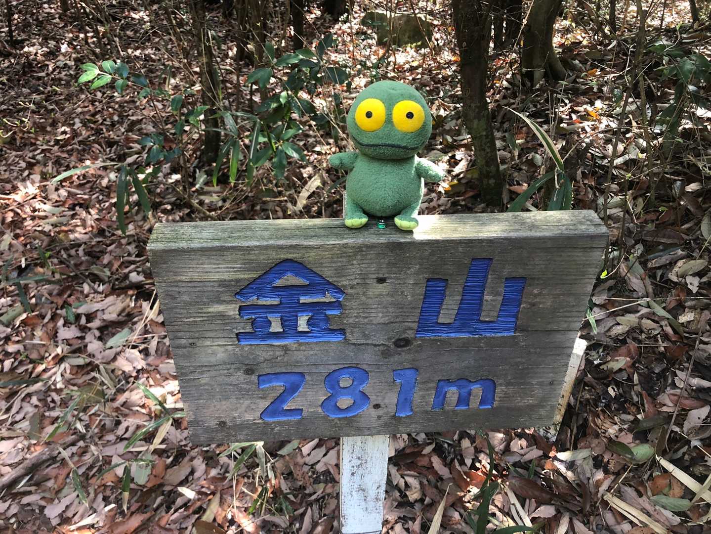 金山山頂！