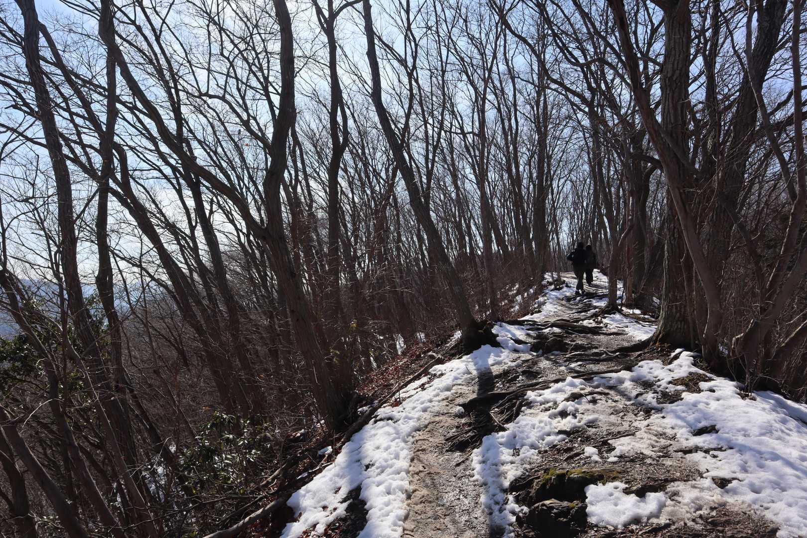 やや雪が積もっていましたが、チェンスパは必要ないくらいです。