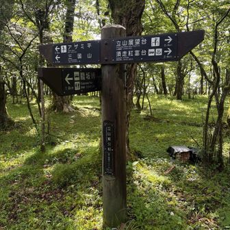 ここで尾根道に到達。案内標識は充実。