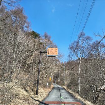 乙女高原へ向かいます