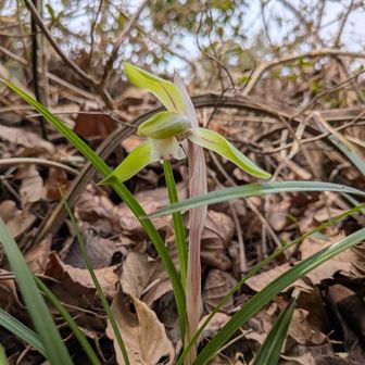 諦めかけていましたが、見つけられて満足👍💕