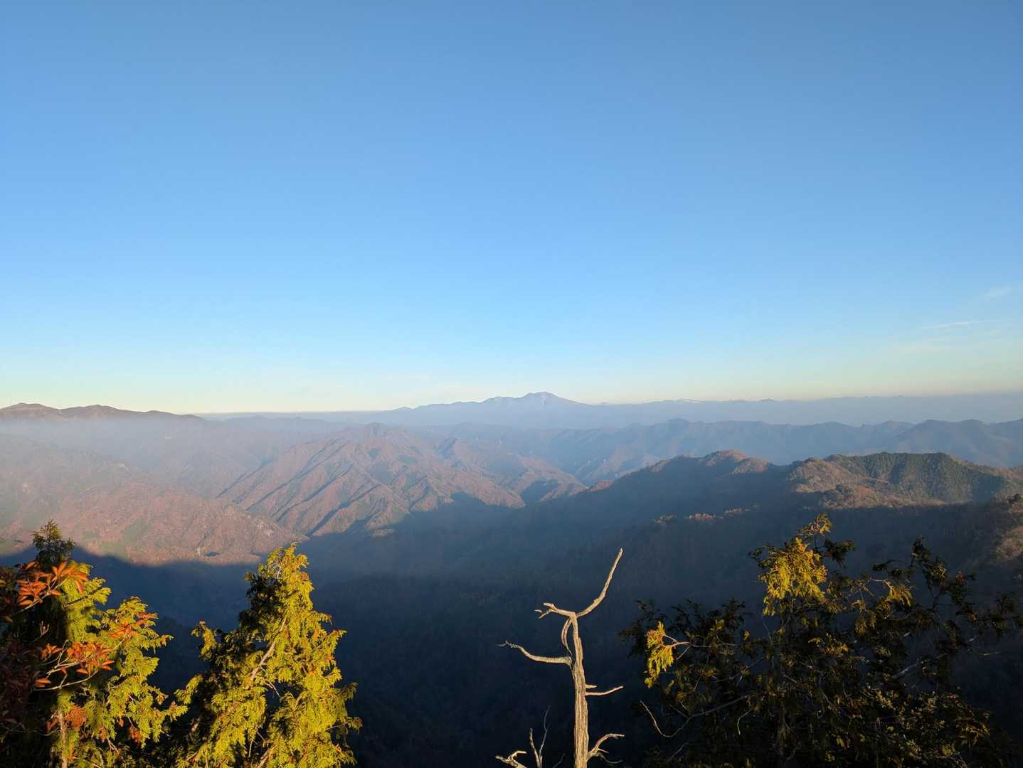 諏訪山楢原登山口-大江権現堂-ヤツウチグラ-諏訪山 往復コースの写真