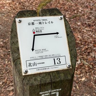 横高山も眺望あります