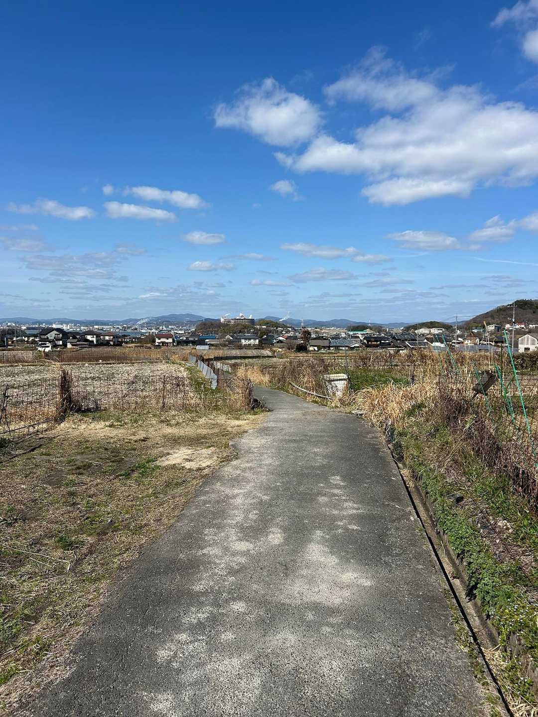 合ってる？