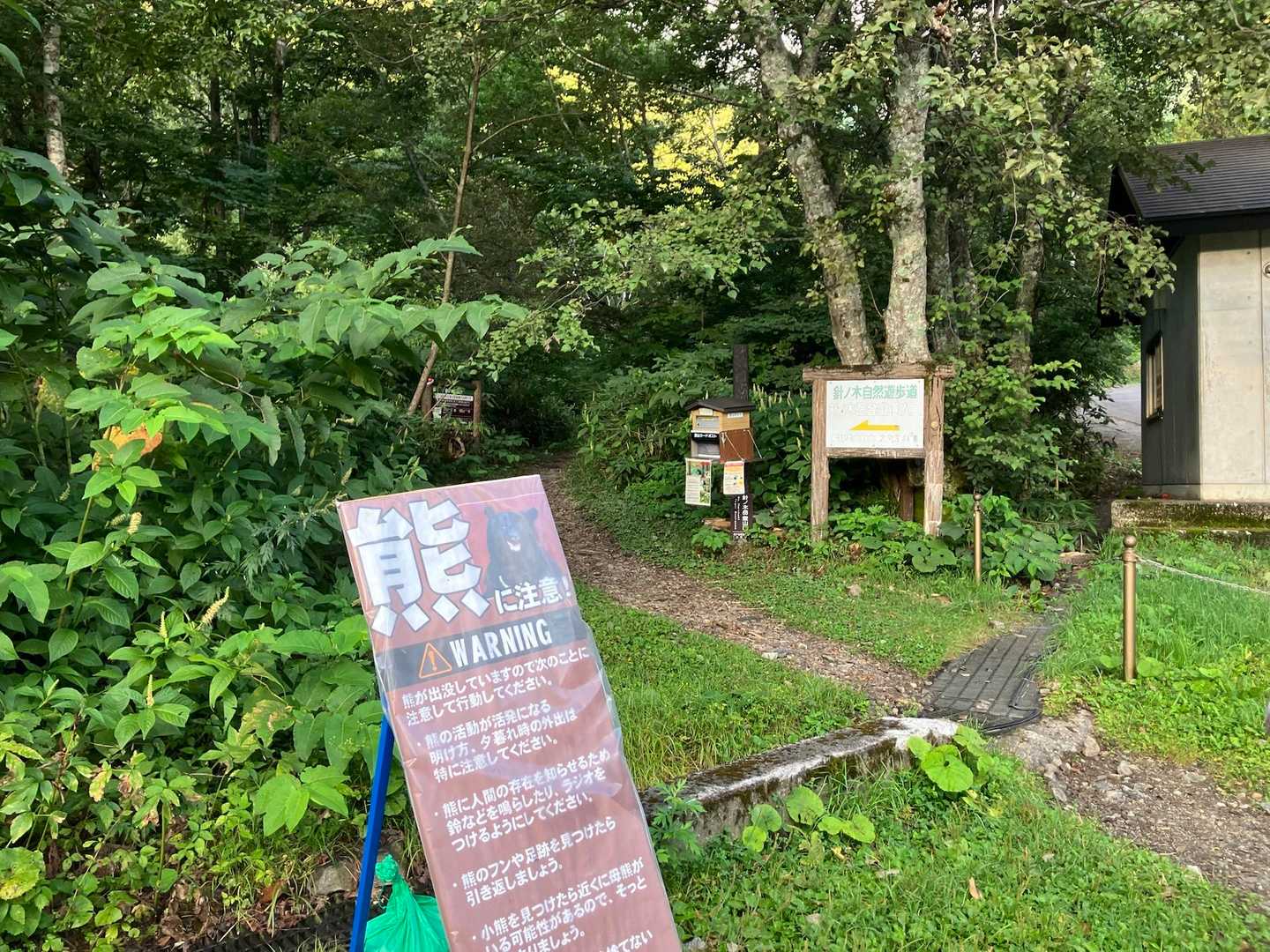 やっぱりここも熊なんです🐻