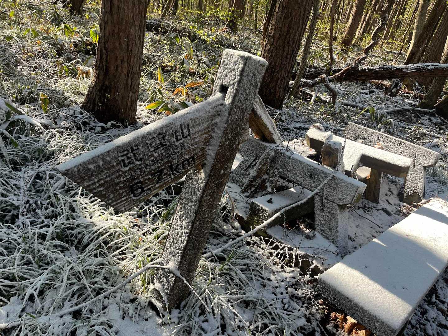 高手山-西峰-剣ヶ峰山-武尊山 往復コースの写真