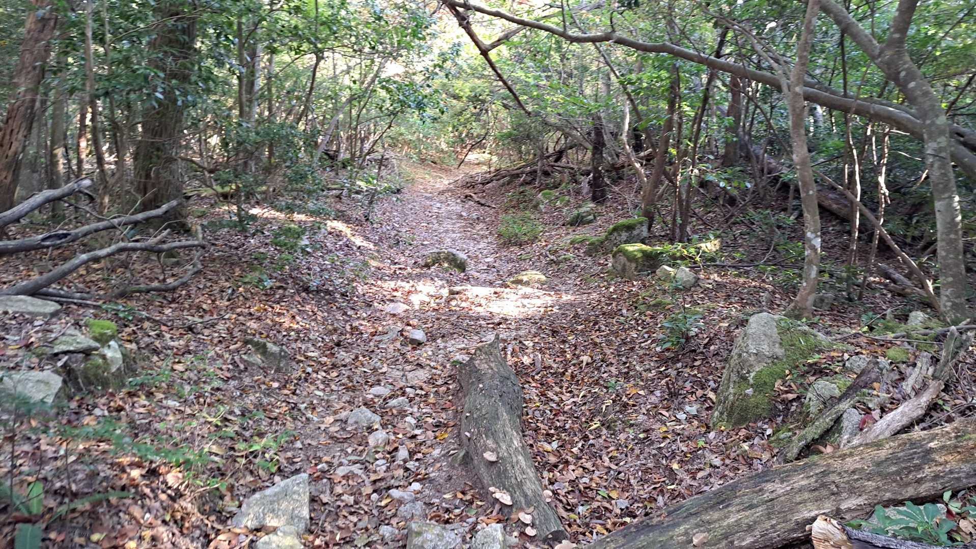 ガレの平地です
ヤマップでクマを見たあたりです
右の茂みにいそうな雰囲気
獣の臭いはしなかったです