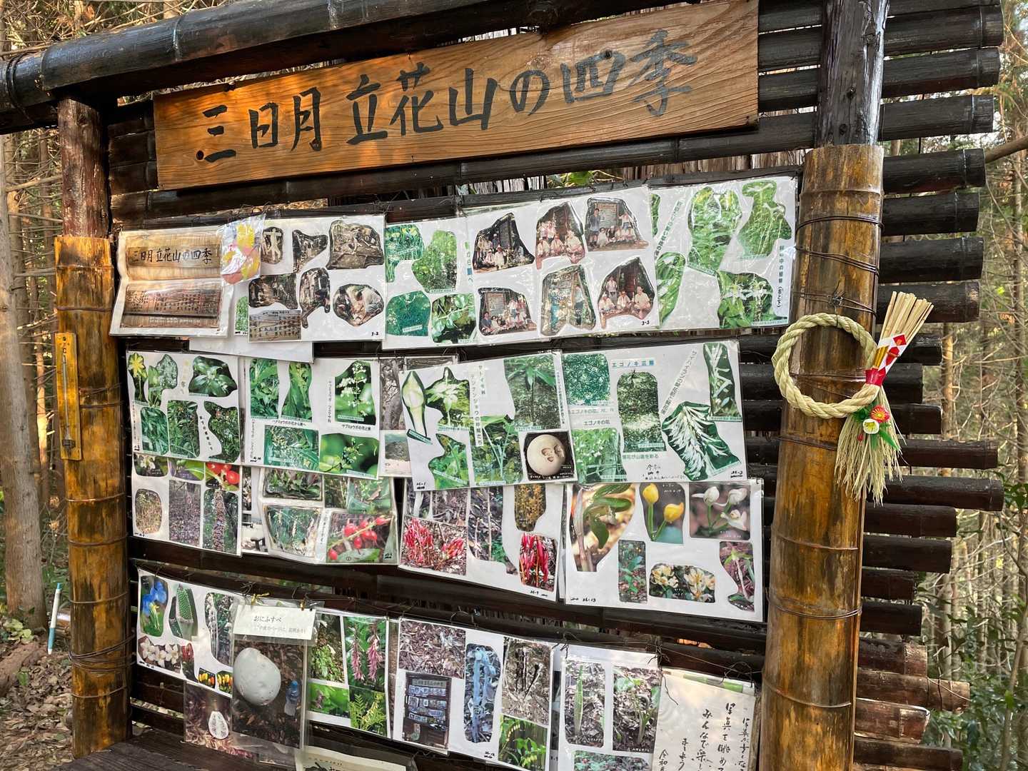 三日月山-立花山 往復コースの写真