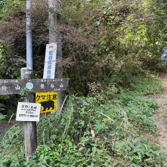 登谷山に向かいます