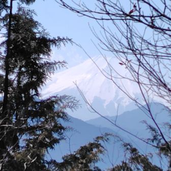 高畑山から望む富士山