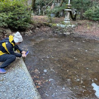 凍った池を撮る　押すなよ🫸押すなよ🫸と小さい声で言ってたよね⁉️🤣🤣