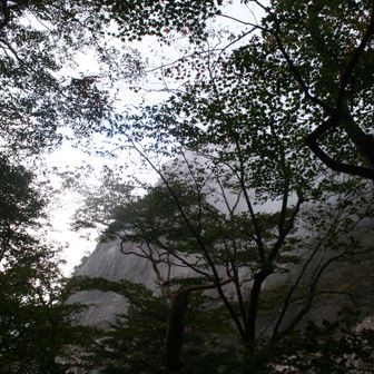 鉾岳山頂はガスで見え隠れ、もしかしたら雨が降っていそうなガス模様。


私のせいじゃないよ？