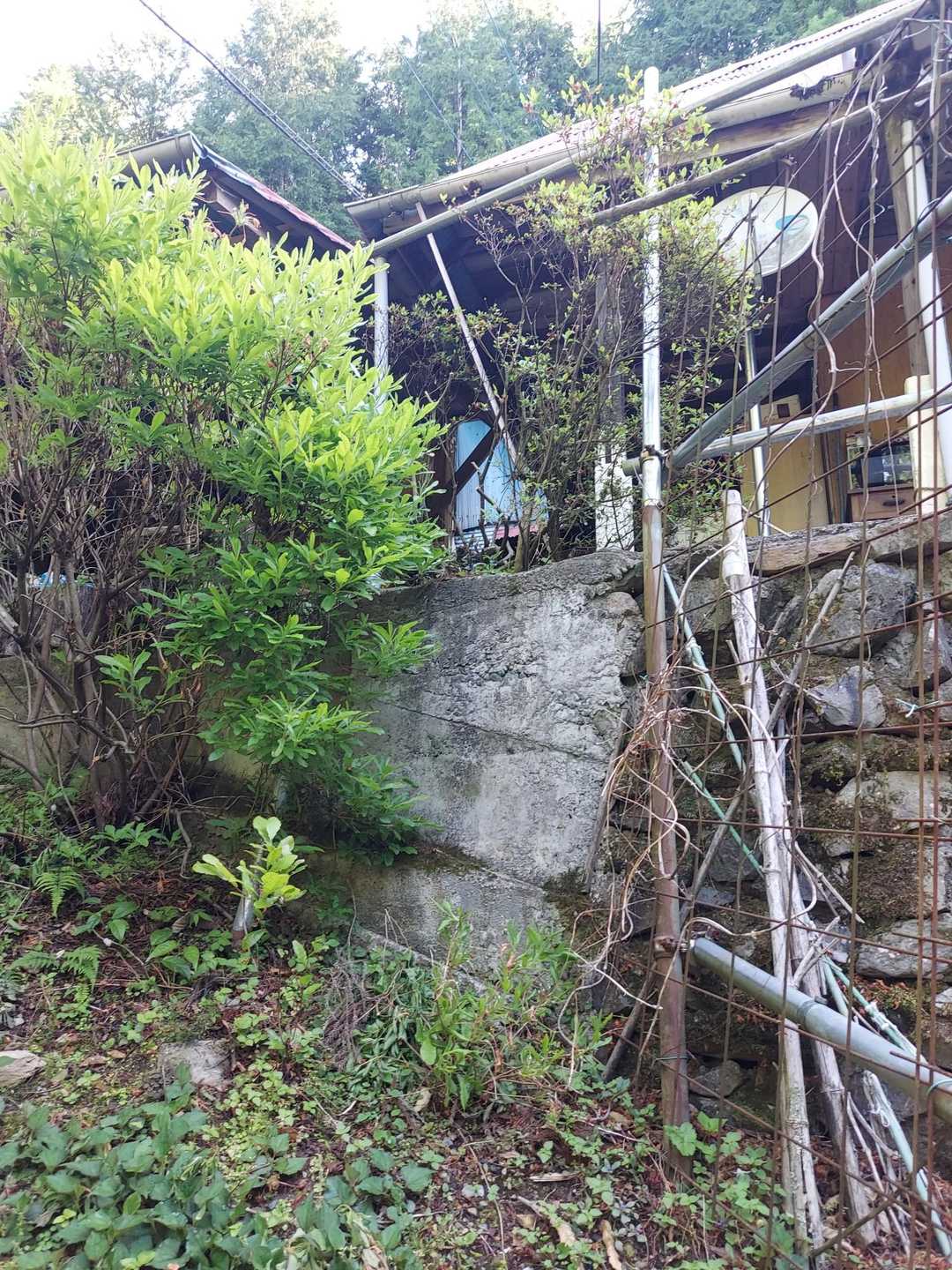 きっかけはコチラのお家を見たくて⋯でした🤭