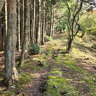 せっかくだから、雌岳も覗こうかと尾根を進んでみます